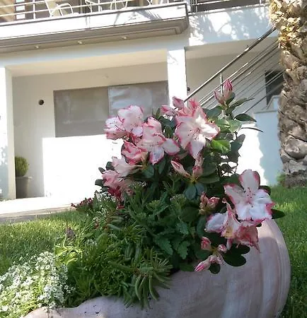Apartament Aimilias Family *